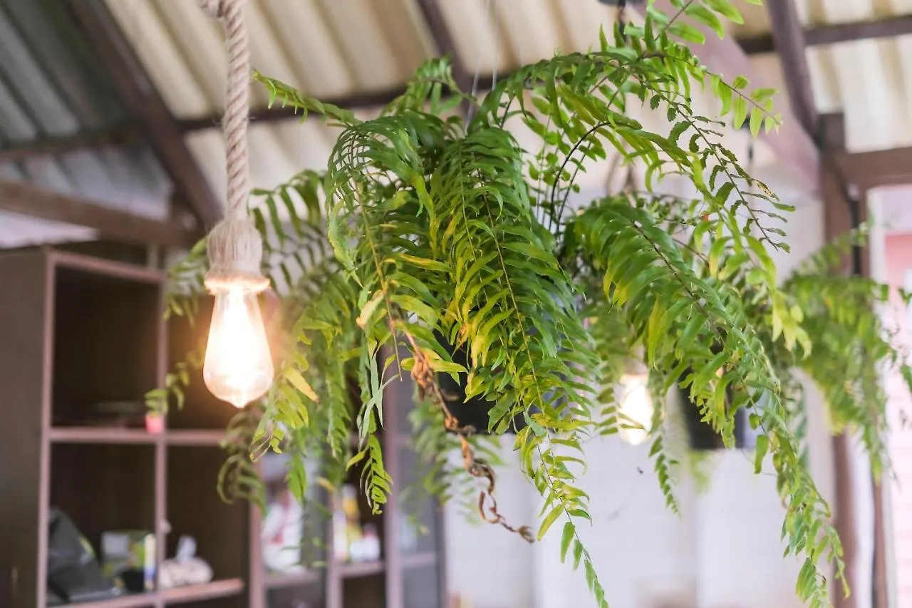 BOHO Hostel Ko Lanta Thailand